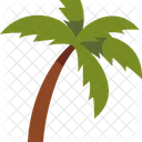 Cute Summer Palm Tree Icon
