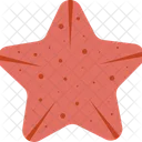 Cute Summer Starfish Icon