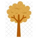 Cute Tree  Icon