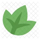 Cute Tree Leaf  Icon
