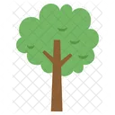 Cute Tree  Icon