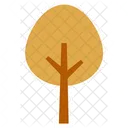 Cute Tree  Icon