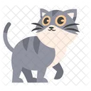 Cute Walking Grey Cat  Icon