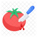 Cutting Tomato Red Tomato Healthy Food Icon