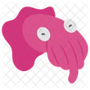 Cuttle  Icon