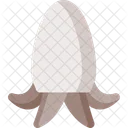 Cuttlefish  Icon
