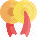 Cymbals  Icon