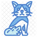 Cymric Cat  Icon