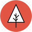 Cypres Arbre Pin Icon