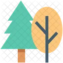 사이프러스 나무 전나무 아이콘