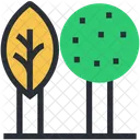 Cypress Tree Greenery Icon