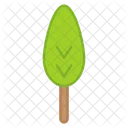 Cypress  Icon