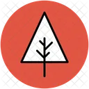 사이프러스 나무 소나무 아이콘