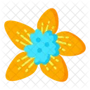 Cypress Flower  Icon