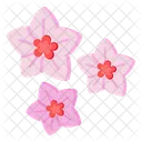 Cypress Flowers  Icon