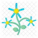 Cypress Flowers  Icon