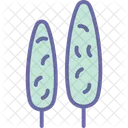 Cypress Forest Trees Icon