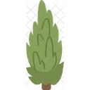 Cypress Tree Conifers Icon