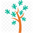 Cypress Leaves Generic Icon
