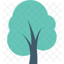 Cypress Tree Shrub Icon