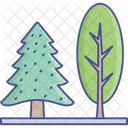 Cypress Tree Evergreen Trees Forest Icon