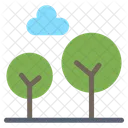 Cypress Tree  Icon