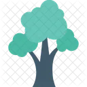 Cypress Tree  Icon