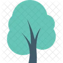 Cypress Tree Shrub Icon