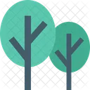 Trees Ecology Cypress Icon