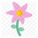 Cypress Vine  Icon