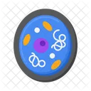 Cytoplasm  Icon
