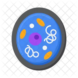 Cytoplasm  Icon