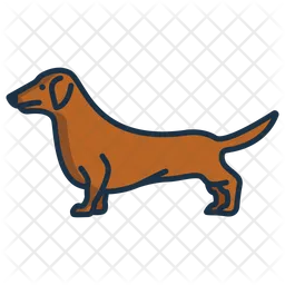 Dachshund  Icon