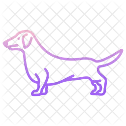 Dachshund  Icon