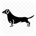 Dachshund Animal Canine Icon