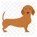 Dachshund Dog Puppy Icon