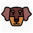 Dachshund Dog  Icon