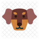 Dachshund Dog  Icon