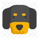 Dachshund dog  Icon