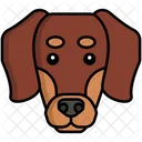 Dachshund dog  Icon