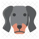 Dachshund Pet Dog Dog Icon