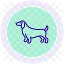 Dachshund Icon