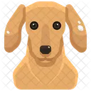 Dachshund  Icon