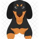 Dachshunds Dog Animal Icon