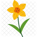 Daffodil アイコン