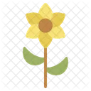Flower Floral Nature Icon