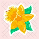 Daffodil  Icône