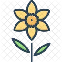 Daffodil Jonquil Primrose Icon