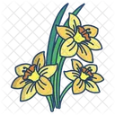 Daffodil Flower Blossom Icon
