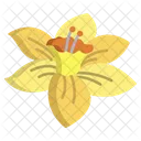 Daffodil Flower Flowers Icon